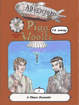 cover image of A Chance Encounter